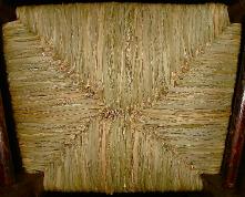 TheUndersideOfACattailSeatPresentedToHelpInIdentification